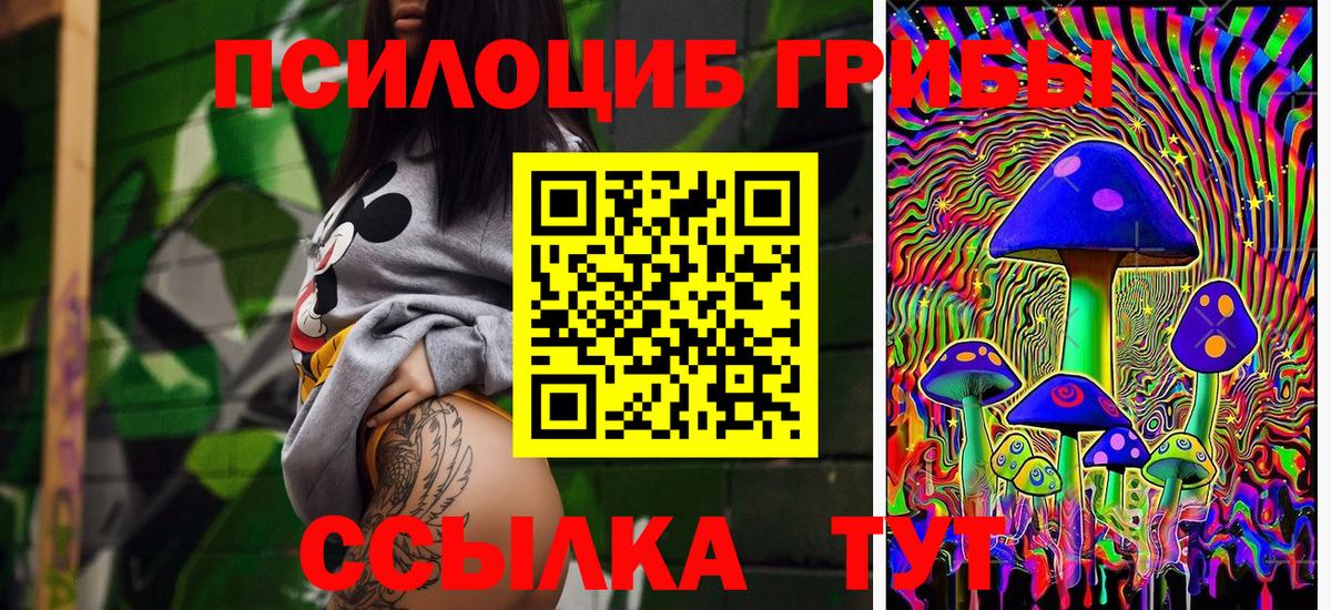 Галлюциногенные грибы GOLDEN TEACHER Дедовск